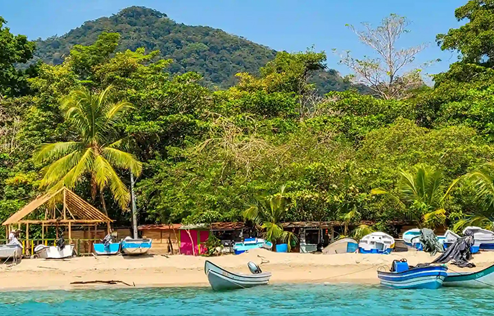 This image for Image Layouts addon